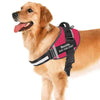 Personalized No Pull Dog Harness