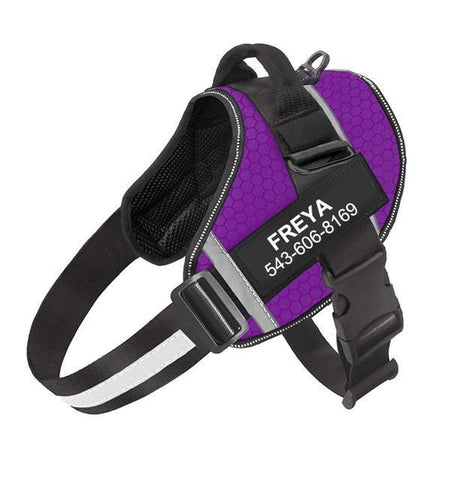 Personalized No Pull Dog Harness