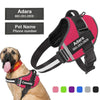 Personalized No Pull Dog Harness