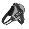 Personalized No Pull Dog Harness