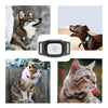 Cat Dog GPS Tracker Pet Smart Collar Waterproof