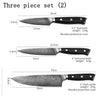 Damascus steel knife  high quality japanese Knife High Carbon Stainless